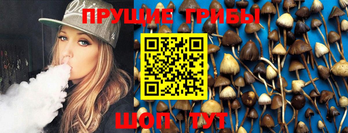 Ирбит  Псилоцибиновые грибы прущие грибы  Вход с VPN 